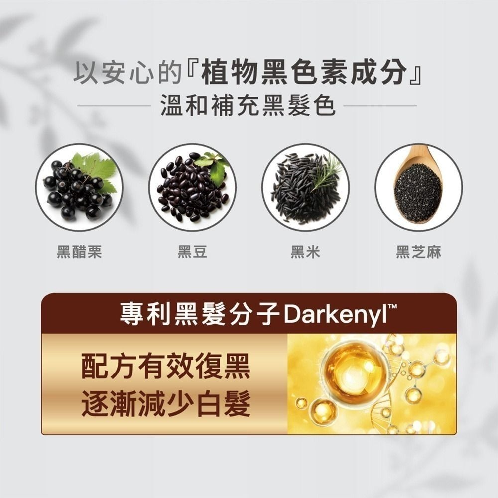 【全新】美吾髮 植優漸進復黑菁華露 自然栗棕-細節圖5
