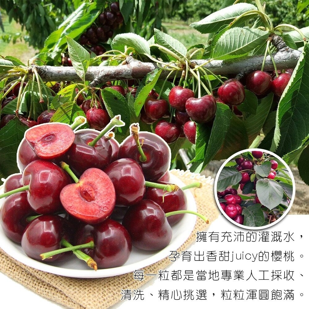 智利進口10R櫻桃禮盒 0運費【果之蔬】智利櫻桃 進口櫻桃 櫻桃10R 水果禮盒 年節禮盒 進口水果-細節圖4