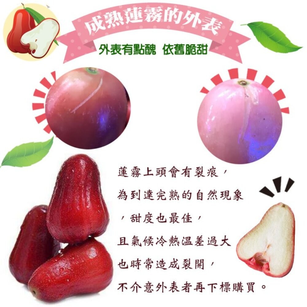 嘉義黑糖芭比蓮霧3斤±10%含盒 0運費【果之蔬】台灣蓮霧 黑糖蓮霧 LV等級蓮霧 蓮霧界LV-細節圖6