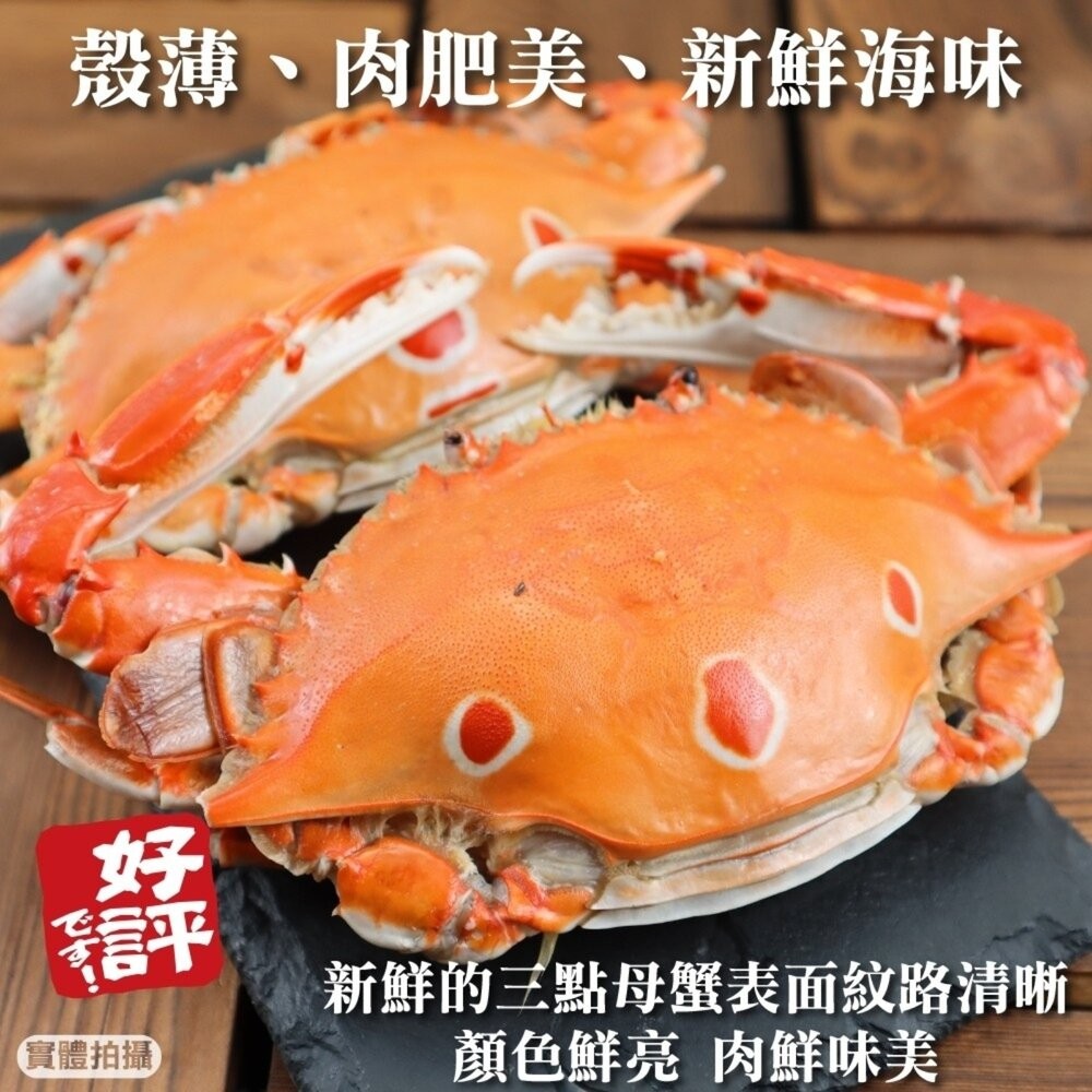 活凍野生三點母蟹(每隻約150g-170g)【海陸管家】滿額免運 三點蟹 母蟹 生蟹 螃蟹-細節圖2