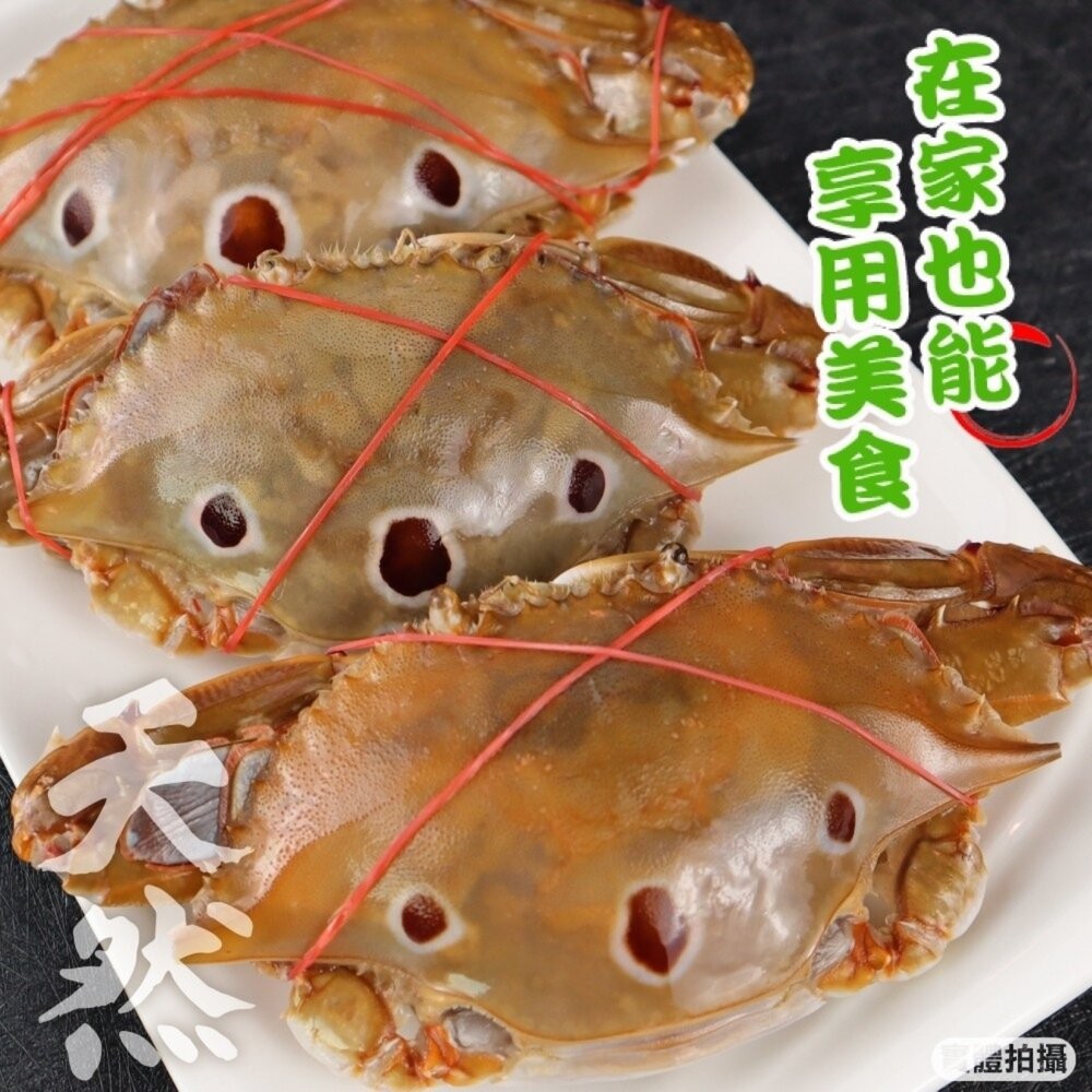 活凍野生三點母蟹(每隻約150g-170g)【海陸管家】滿額免運 三點蟹 母蟹 生蟹 螃蟹-細節圖4