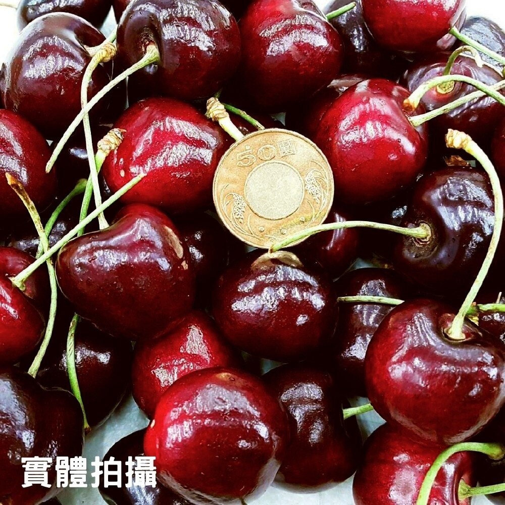 Reid/Hansen 澳洲Tasmanian塔斯馬尼亞櫻桃600g分裝禮盒 0運費【果之蔬】澳洲櫻桃 櫻桃禮盒 年節禮-細節圖7