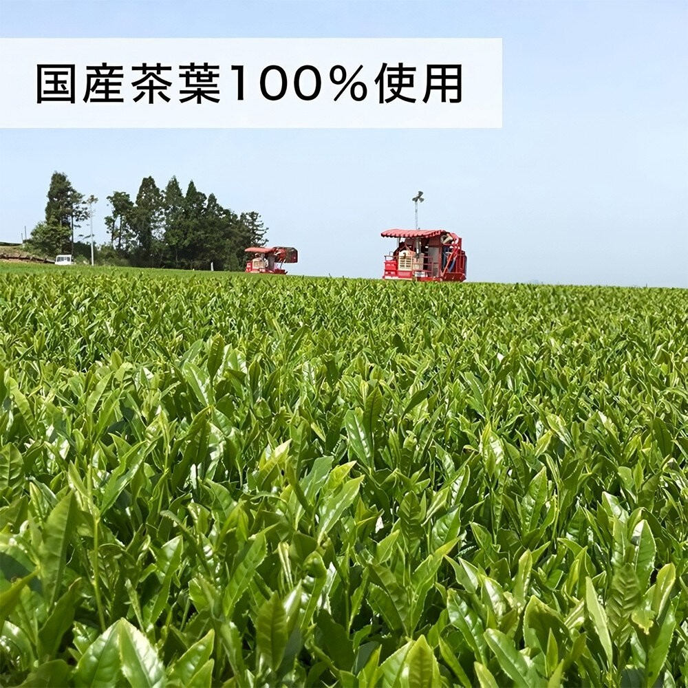 日本伊藤園Oi Ocha pure大罐綠茶2000ml 日本原裝進口 伊藤茶園 伊藤綠茶 日本綠茶-細節圖5
