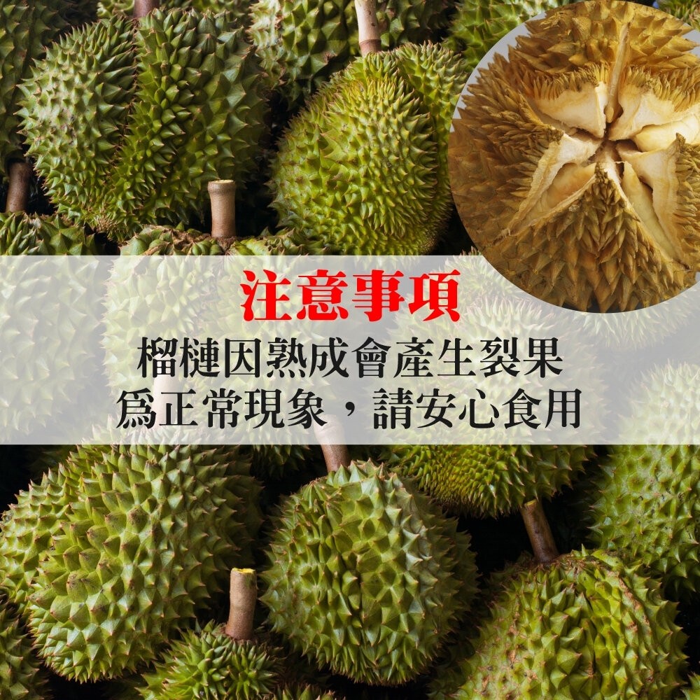 越南金枕頭榴槤原箱11kg±10%含箱／3-4入 0運費【天天鮮配】進口榴槤 越南榴槤-細節圖7