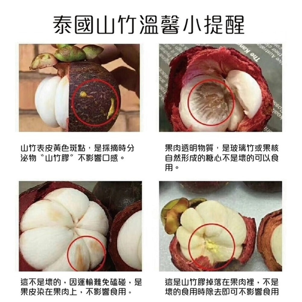 (非冷凍)泰國新鮮空運山竹(每盒4-8入/500g±10%) 0運費【果之蔬】-細節圖5