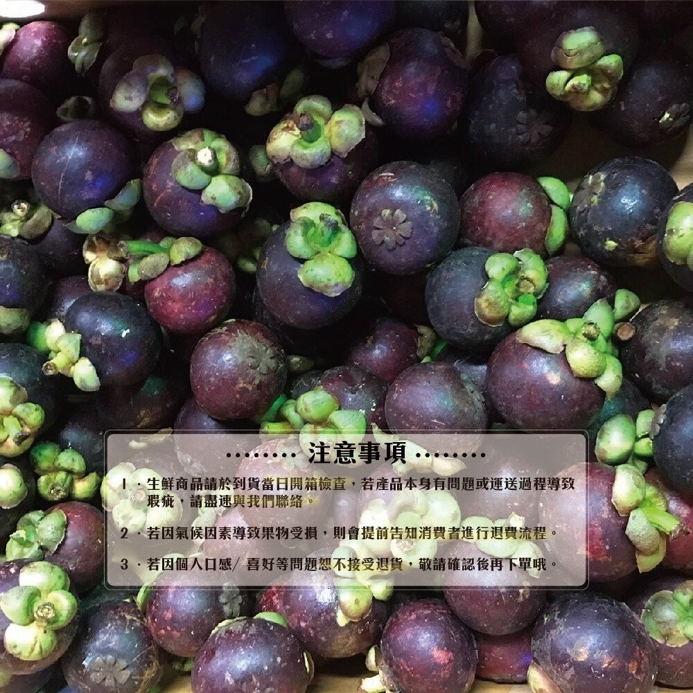 (非冷凍)泰國新鮮空運山竹(每盒4-8入/500g±10%) 0運費【果之蔬】-細節圖6