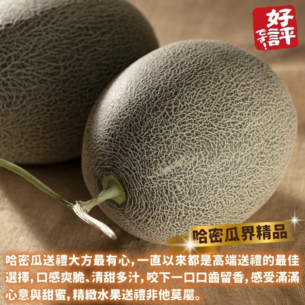 台灣卡蜜拉紅肉哈密瓜 0運費【果之蔬】台灣哈密瓜 台灣哈蜜瓜 哈蜜瓜 紅肉哈密瓜 紅肉哈蜜瓜-細節圖5