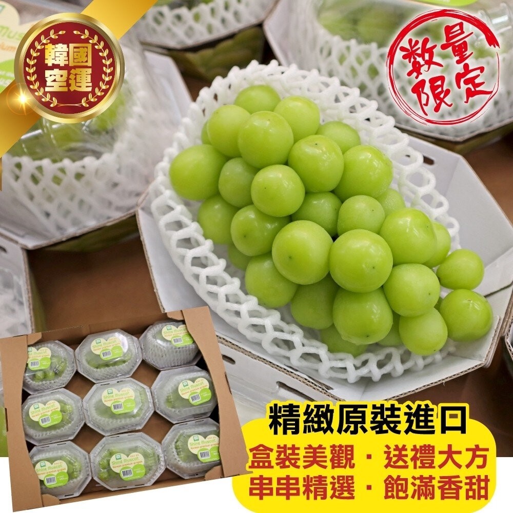 韓國空運無籽麝香葡萄(每盒500g-600g) 0運費【果之蔬】韓國葡萄 無籽葡萄 綠葡萄 進口葡萄 空運葡萄-細節圖5