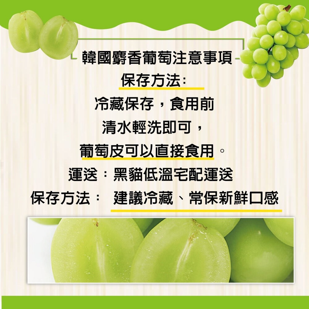 韓國空運無籽麝香葡萄(每盒500g-600g) 0運費【果之蔬】韓國葡萄 無籽葡萄 綠葡萄 進口葡萄 空運葡萄-細節圖7