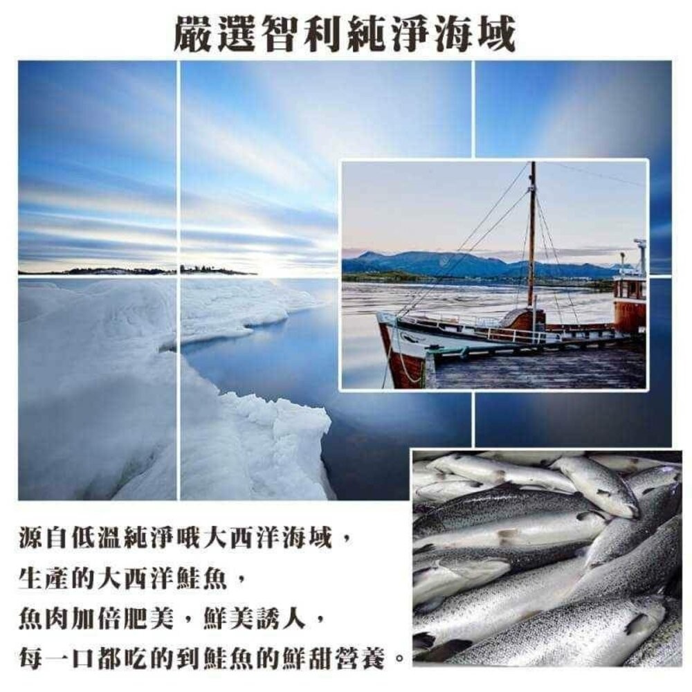 嚴選智利鮭魚切片(每片100g±10%)【海陸管家】滿額免運 智利鮭魚 鮭魚 鮭魚片 智利鮭魚片-細節圖2