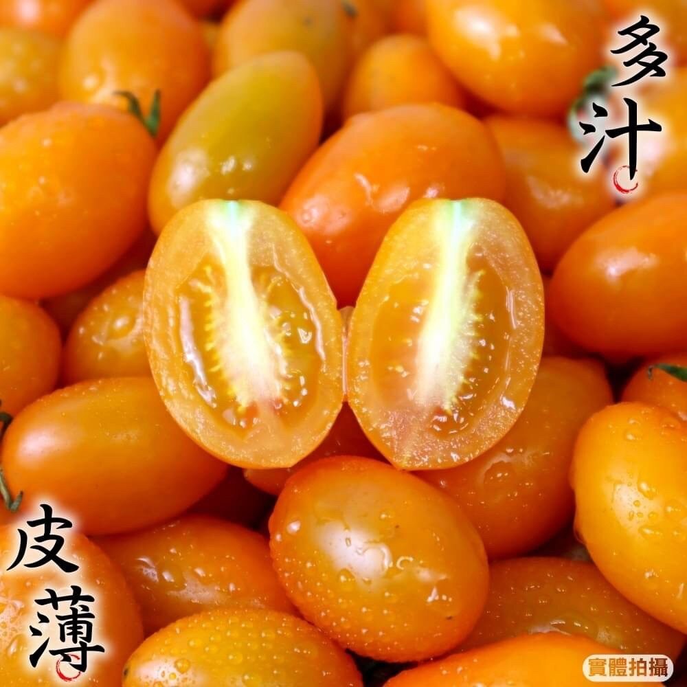 嚴選台灣黃金小番茄(每盒600g±10%) 0運費【果農直配】黃金小蕃茄 黃金番茄 黃金蕃茄 小蕃茄-細節圖4