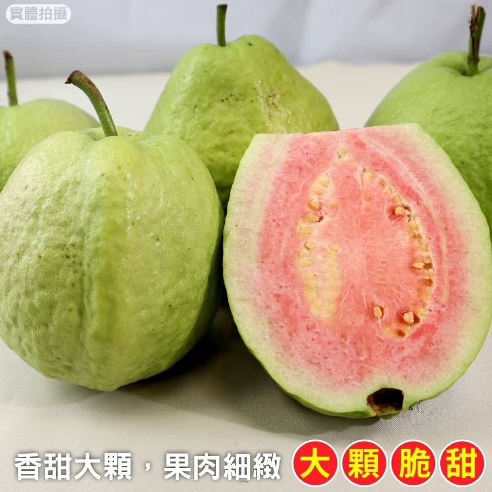 粉紅蜜芭樂【果農直配】全省免運-細節圖3