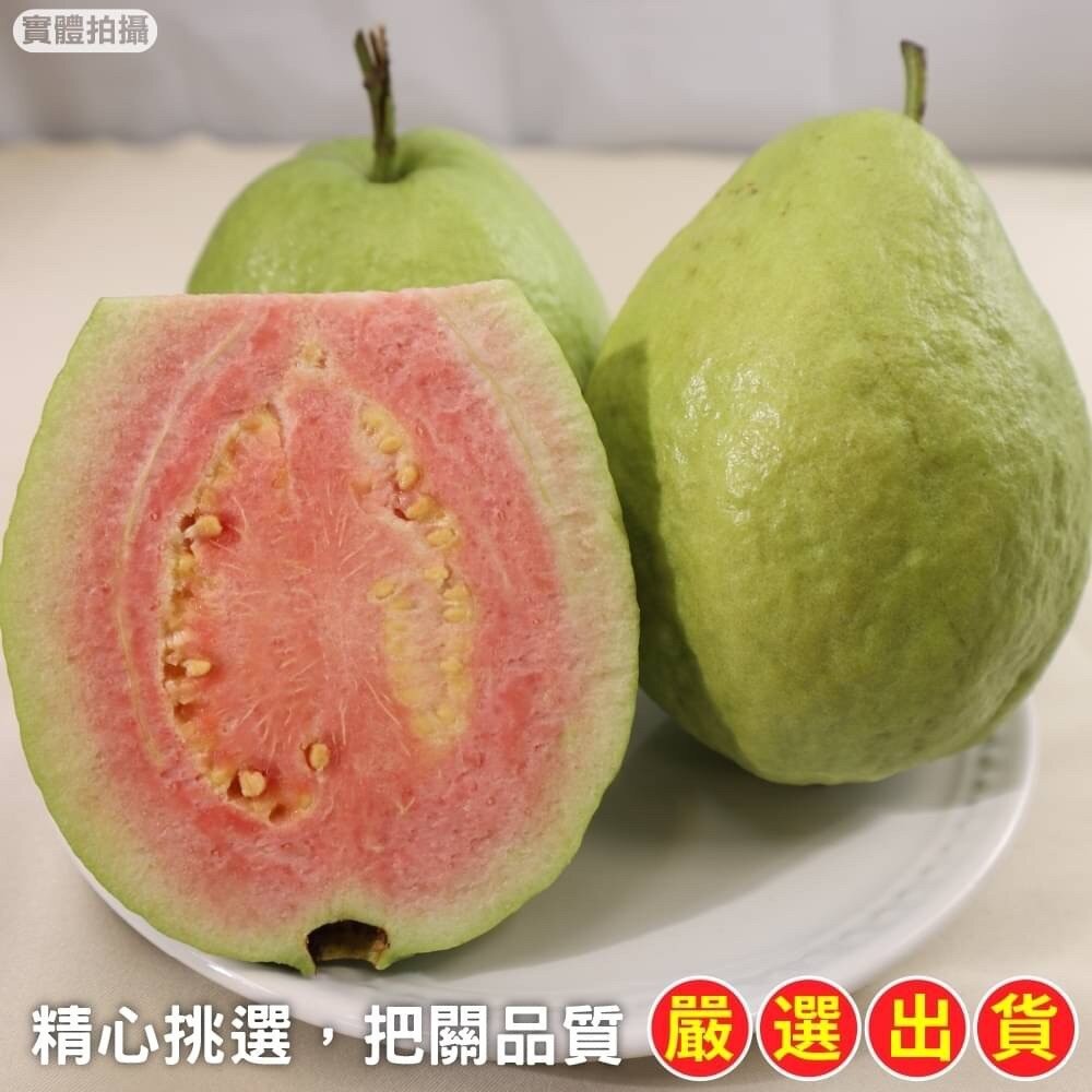 粉紅蜜芭樂【果農直配】全省免運-細節圖4