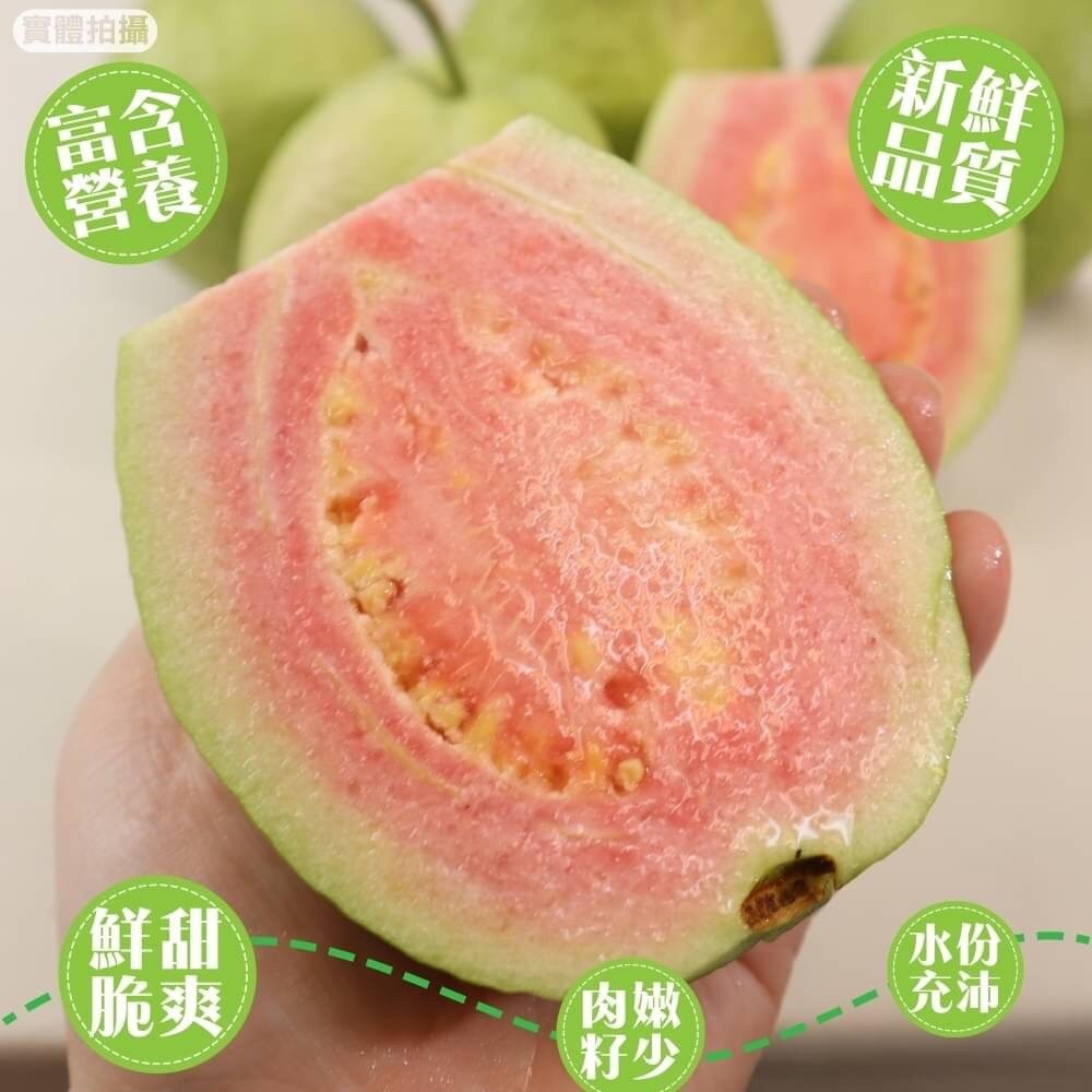 粉紅蜜芭樂【果農直配】全省免運-細節圖5