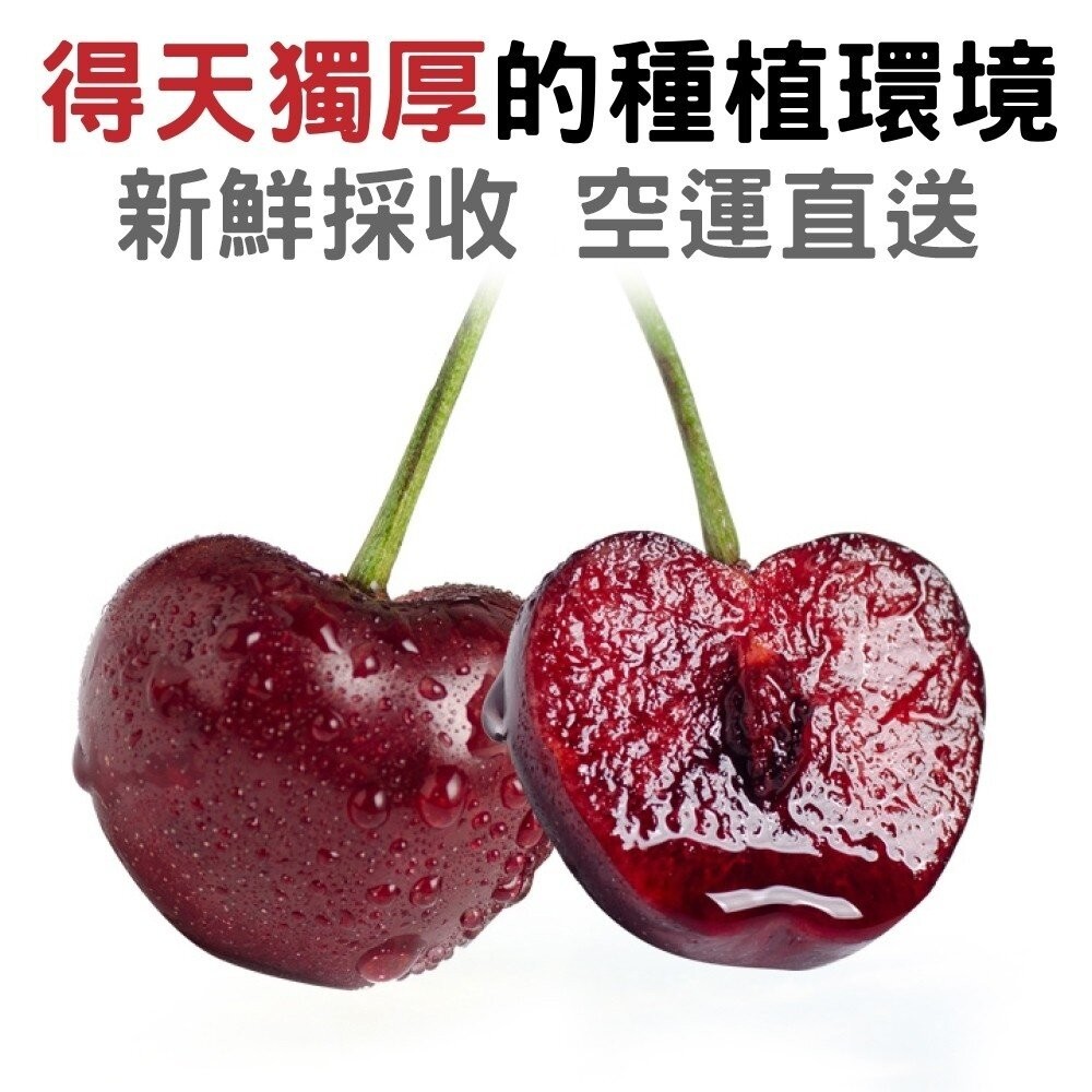 Reid/Hansen 澳洲Tasmanian塔斯馬尼亞櫻桃原裝2kg禮盒 0運費【果之蔬】澳洲櫻桃 櫻桃禮盒 年節禮盒-細節圖4