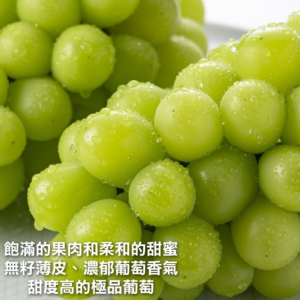 韓國空運無籽麝香葡萄(每串600-700g) 0運費【果之蔬】韓國葡萄 進口葡萄 韓國水果-細節圖3