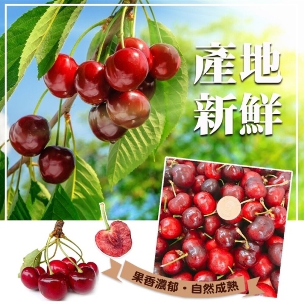 美國華盛頓9.5R櫻桃禮盒 0運費【果之蔬】美國櫻桃 華盛頓櫻桃 9.5R-細節圖4