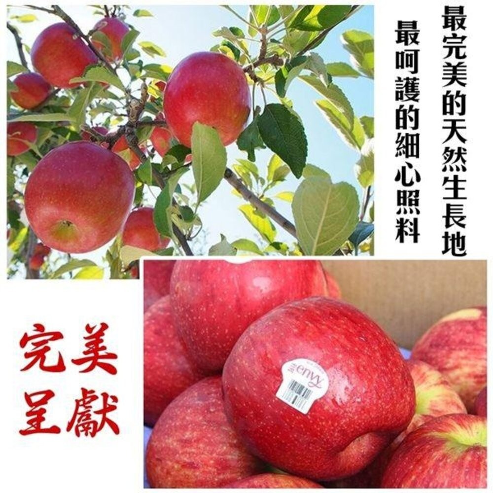 紐西蘭Envy愛妃蘋果特大顆原裝箱 0運費【果之蔬】紐西蘭蘋果 進口蘋果 Envy蘋果 紐西蘭愛妃 原裝蘋果-細節圖7