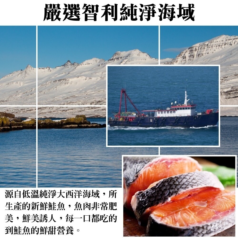 智利厚切鮭魚切片(每片300g±10%)【海陸管家】滿額免運-細節圖3
