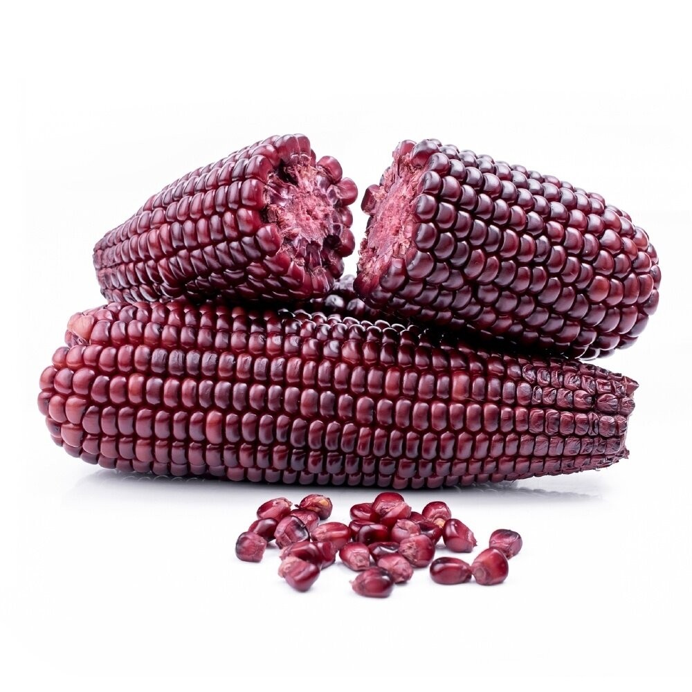 黑寶水果玉米 0運費【果農直配】-細節圖2