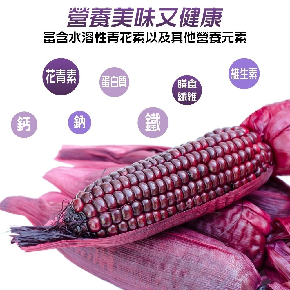 黑寶水果玉米 0運費【果農直配】-細節圖4