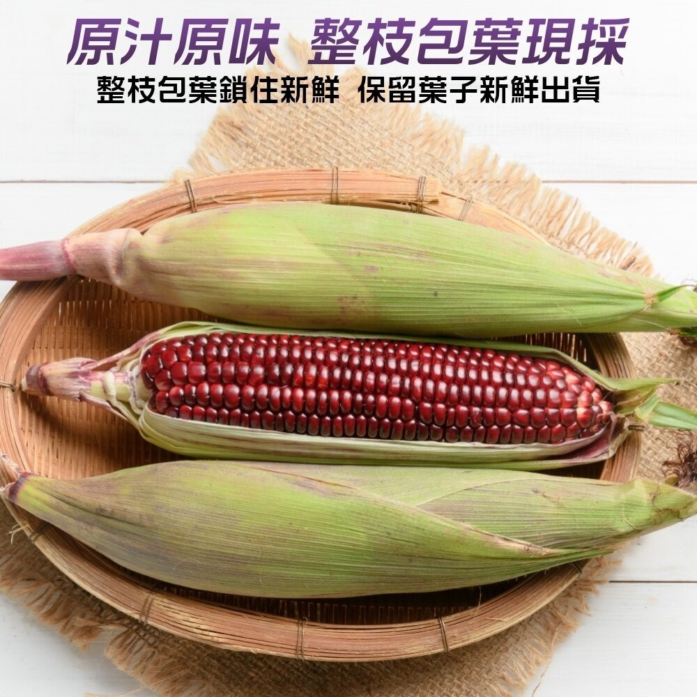 黑寶水果玉米 0運費【果農直配】-細節圖5