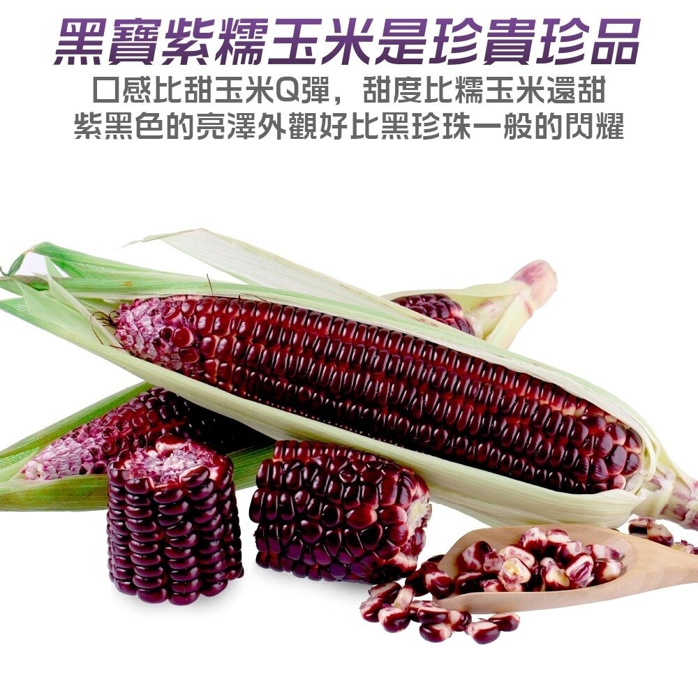 黑寶水果玉米 0運費【果農直配】-細節圖7