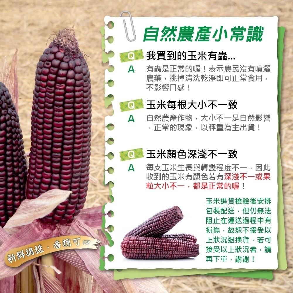 黑寶水果玉米 0運費【果農直配】-細節圖8