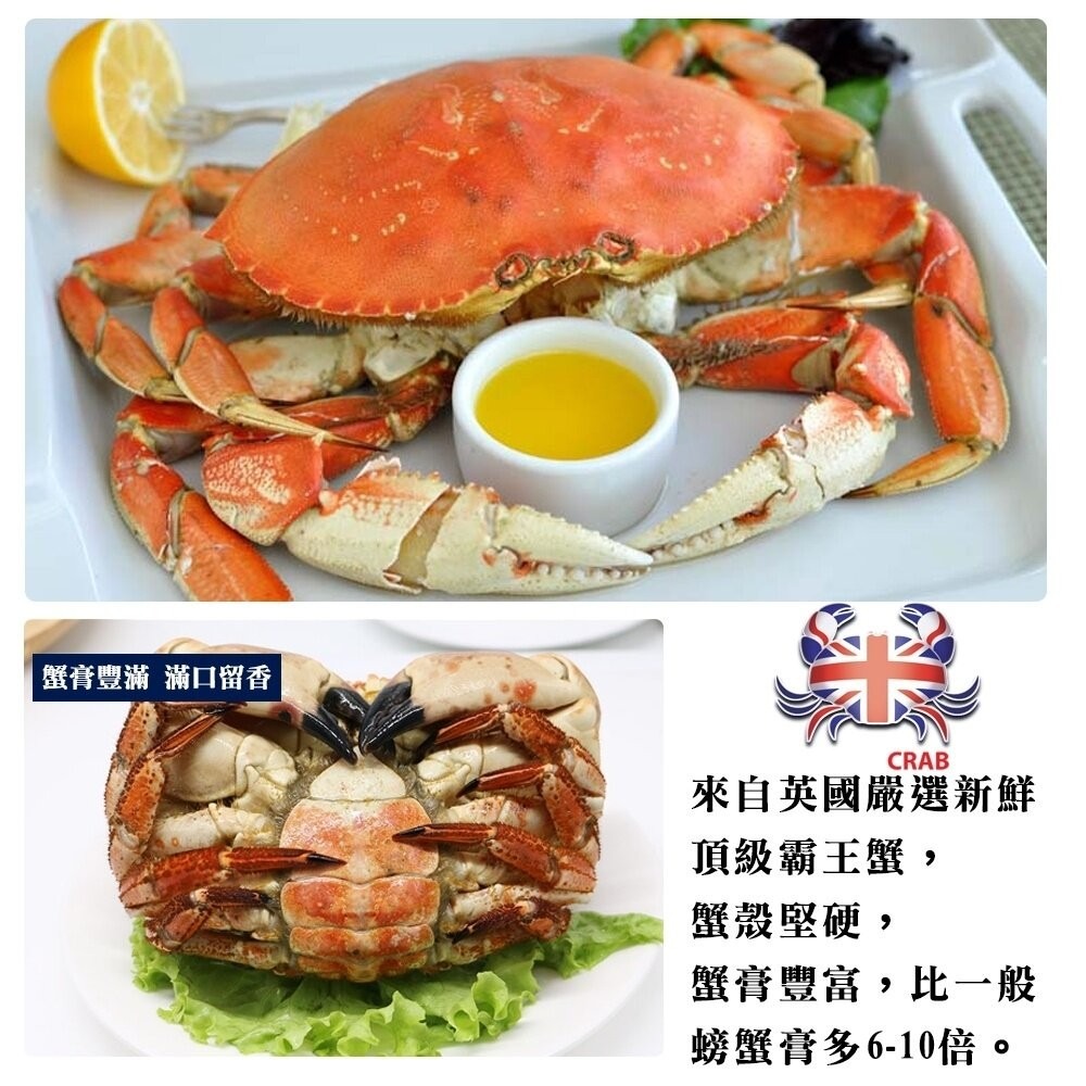 英國頂級霸王蟹(每隻400g-600g)【海陸管家】滿額免運-細節圖2