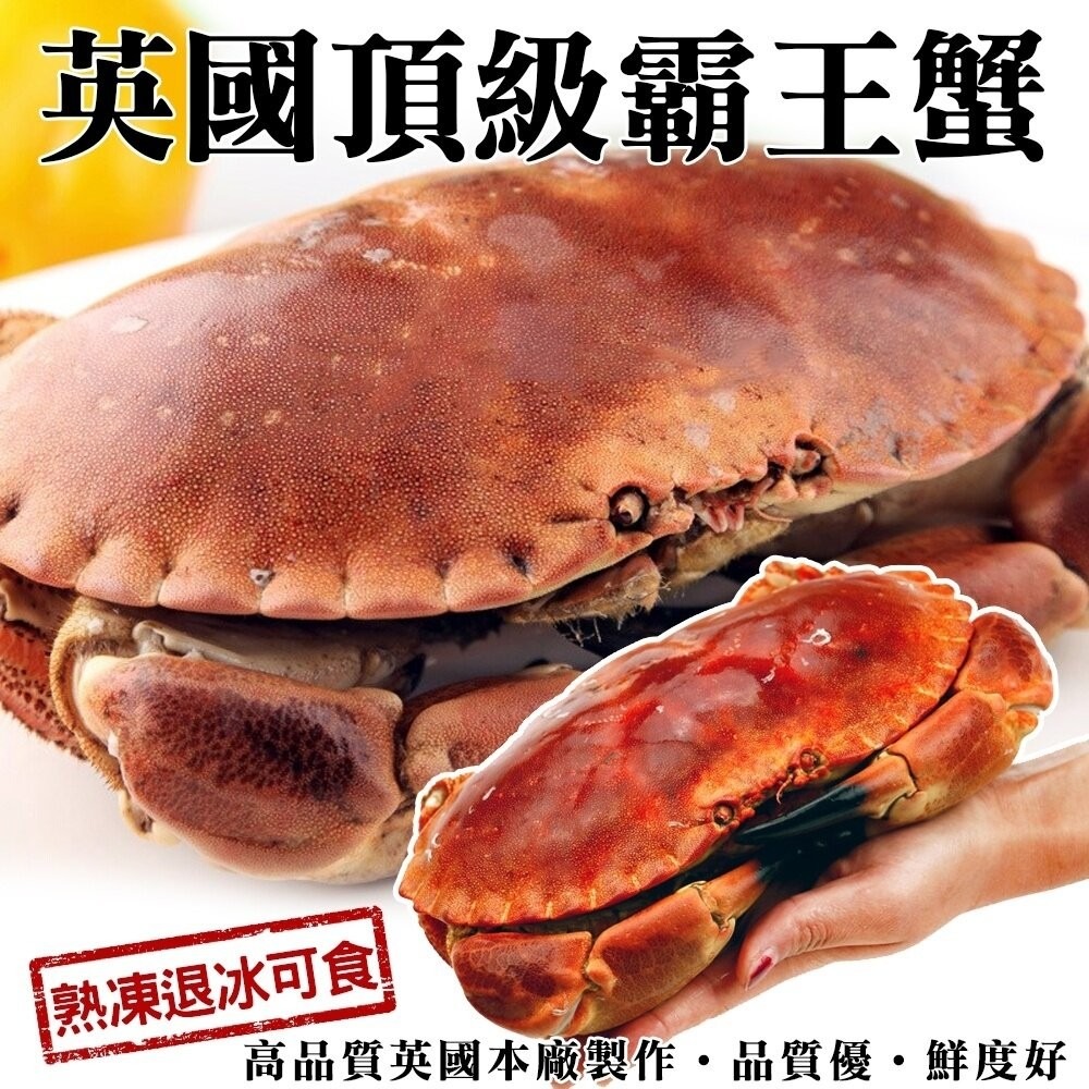 英國頂級霸王蟹(每隻400g-600g)【海陸管家】滿額免運-細節圖5