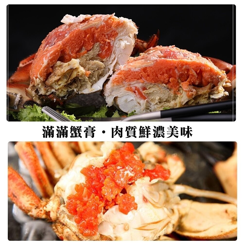英國頂級霸王蟹(每隻400g-600g)【海陸管家】滿額免運-細節圖7