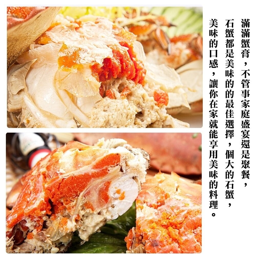 英國頂級霸王蟹(每隻400g-600g)【海陸管家】滿額免運-細節圖8