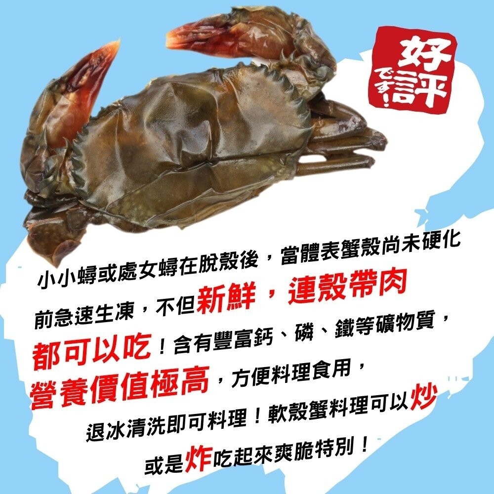 嚴選冷凍軟殼蟹(每盒8-10隻/600g±10%)【天天鮮配】滿額免運-細節圖3