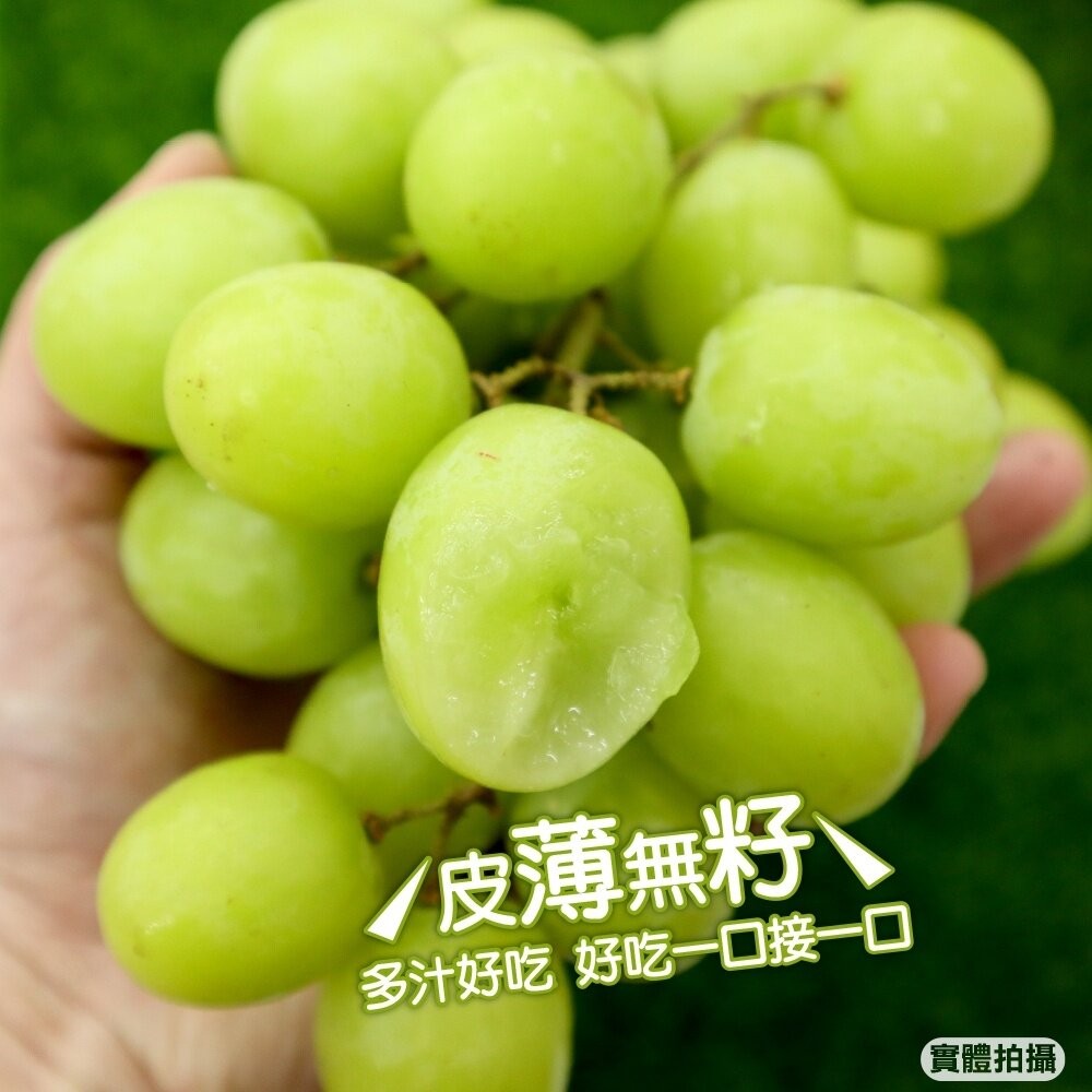 秘魯秋脆綠無籽葡萄【果之蔬】0運費 祕魯葡萄 進口葡萄 秋翠綠 綠葡萄 無籽綠葡萄 綠無籽葡萄-細節圖2