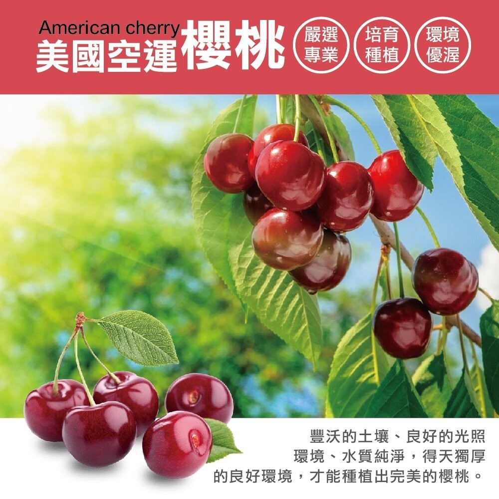 美國空運華盛頓櫻桃原裝2kg±10%(贈提袋) 0運費【果之蔬】美國櫻桃 華盛頓櫻桃 櫻桃禮盒 9R 9.5R 8.5R-細節圖6