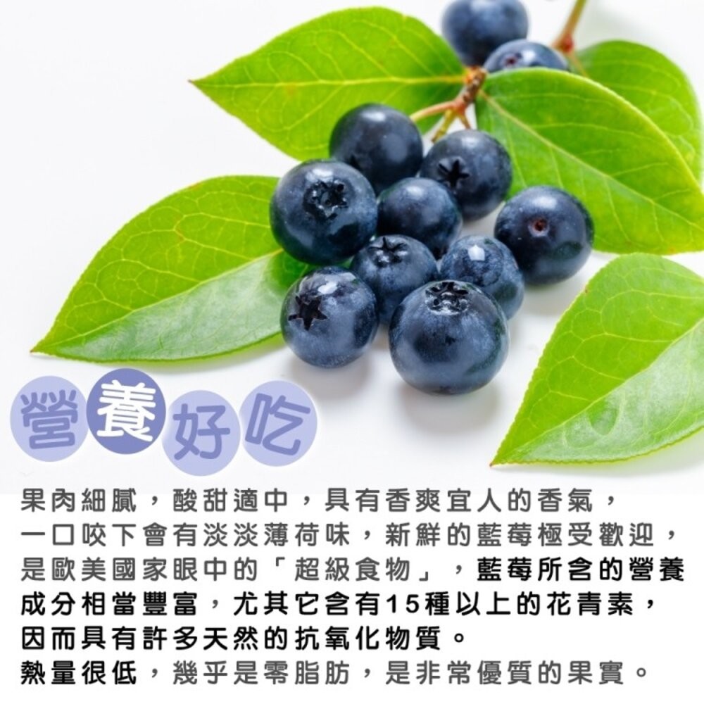 美國進口新鮮藍莓(每盒125g±10%) 0運費【果之蔬】-細節圖2