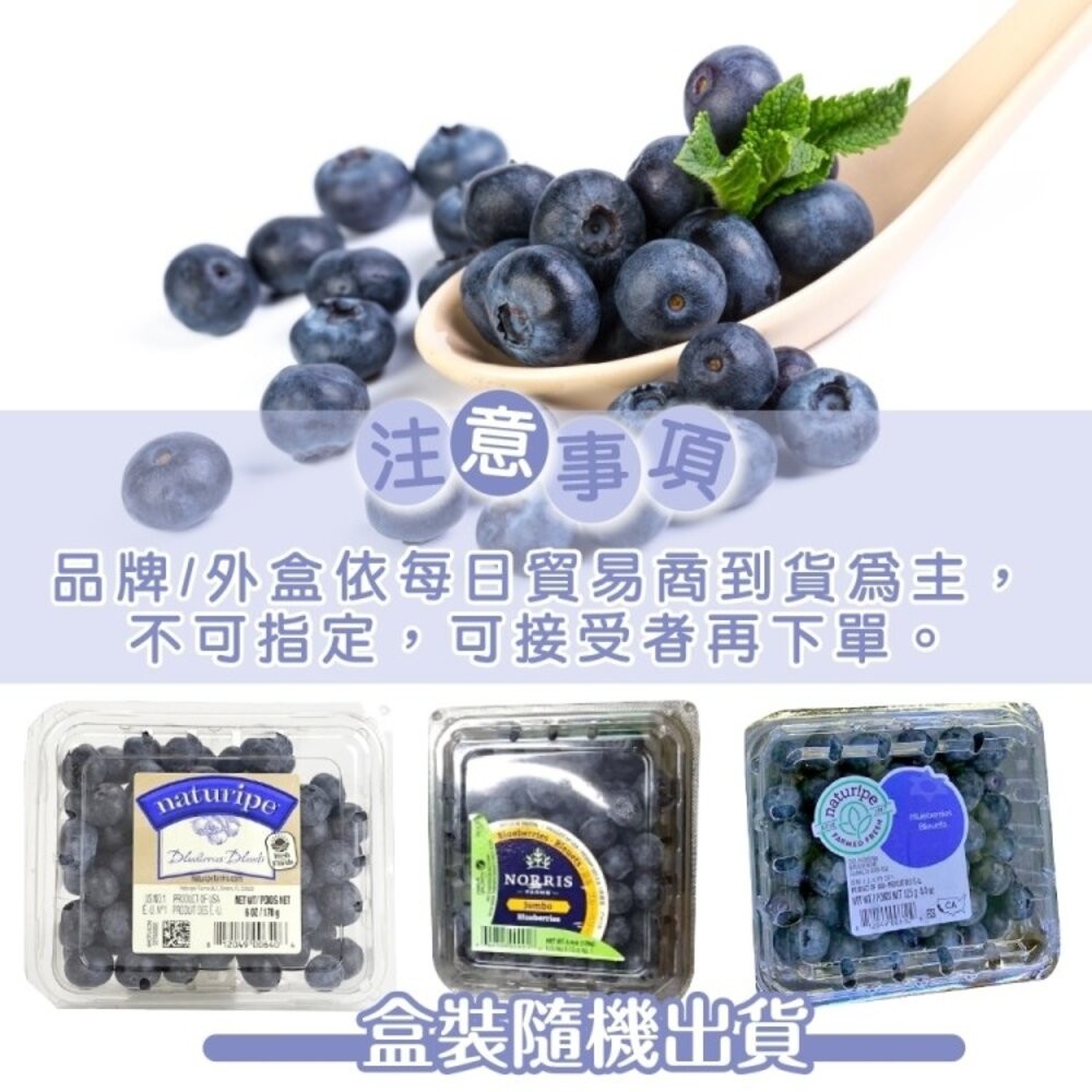 美國進口新鮮藍莓(每盒125g±10%) 0運費【果之蔬】-細節圖6