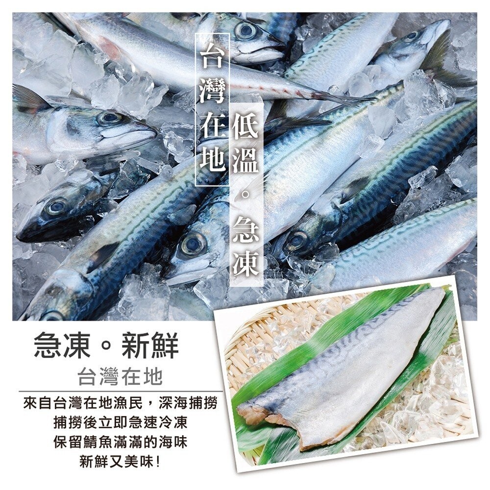 嚴選宜蘭薄鹽鯖魚【海陸管家】滿額免運 台灣鯖魚 鯖魚片 薄鹽鯖魚 煎烤氣炸 冷凍海鮮-細節圖2
