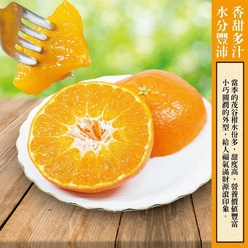 台灣茂谷柑禮盒 0運費【果農直配】柑橘 台灣柑 台灣橘子 椪柑 水果禮盒 年節禮盒-細節圖3