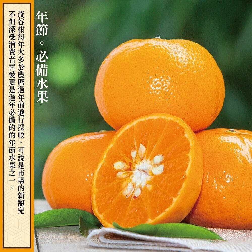 台灣茂谷柑禮盒 0運費【果農直配】柑橘 台灣柑 台灣橘子 椪柑 水果禮盒 年節禮盒-細節圖4