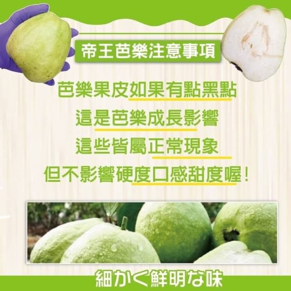 嚴選台灣帝王芭樂 0運費【果農直配】台灣芭樂 白芭樂 土芭樂-細節圖6