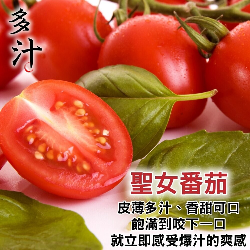 嚴選台灣聖女小番茄(每盒600g±10%含盒) 0運費【天天鮮配】聖女蕃茄 聖女番茄 聖女小蕃茄-細節圖3