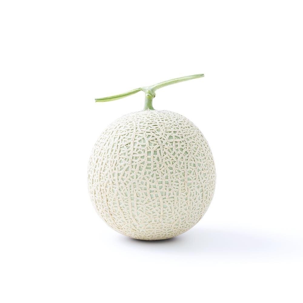 嚴選台灣綠肉哈密瓜(每顆800g±10%) 0運費【果之蔬】哈密瓜 哈蜜瓜 綠哈密瓜 綠哈蜜瓜 綠肉哈蜜瓜-細節圖2