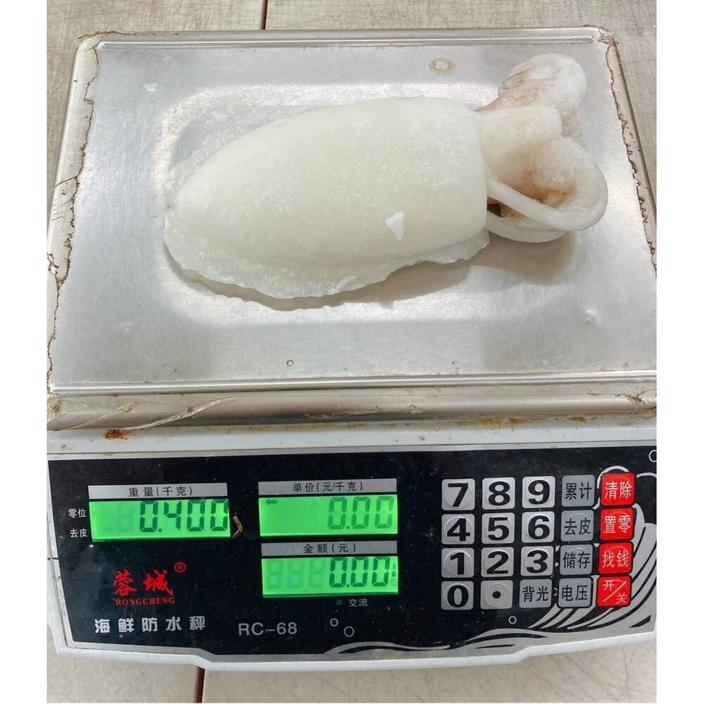 特級鮮Q甜肥厚大花枝(每隻400g±10%)【天天鮮配】滿額免運-細節圖5