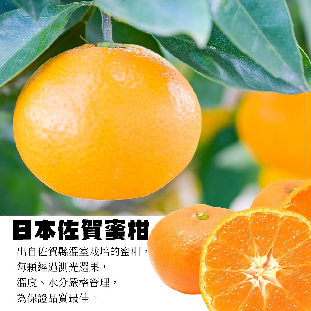 日本佐賀縣溫室蜜柑(每盒350g±10%/4-6顆) 0運費【果之蔬】日本蜜柑 小蜜柑 佐賀蜜柑 柑橘-細節圖3