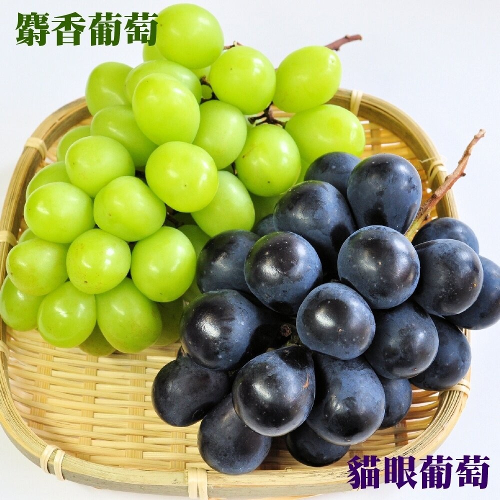 日本麝香/貓眼葡萄雙拼禮盒 0運費【果之蔬】麝香葡萄 貓眼葡萄 雙色葡萄 葡萄禮盒 日本葡萄-細節圖2