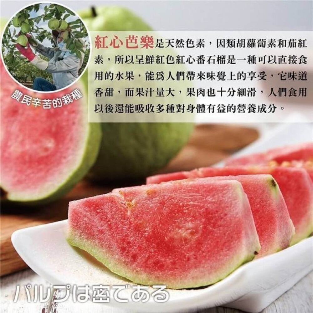 台灣紅心芭樂 0運費【果農直配】紅肉芭樂 紅芭-細節圖3