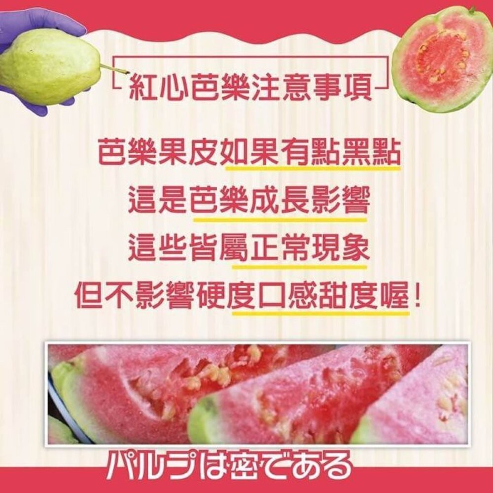 台灣紅心芭樂 0運費【果農直配】紅肉芭樂 紅芭-細節圖4