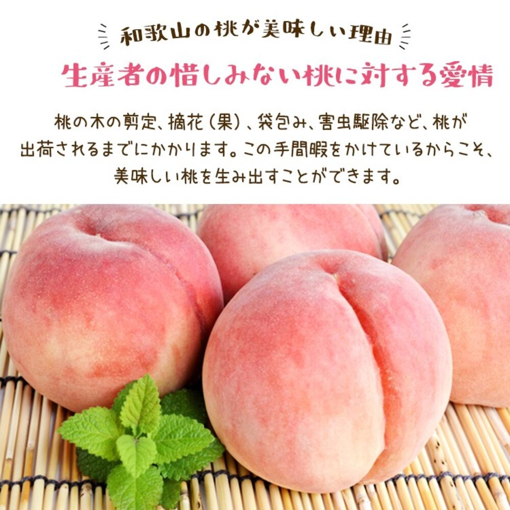 日本和歌山室外水蜜桃原裝4kg±10%/含盒重(12-16入) 0運費【果之蔬】日本水蜜桃 和歌山水蜜桃-細節圖5