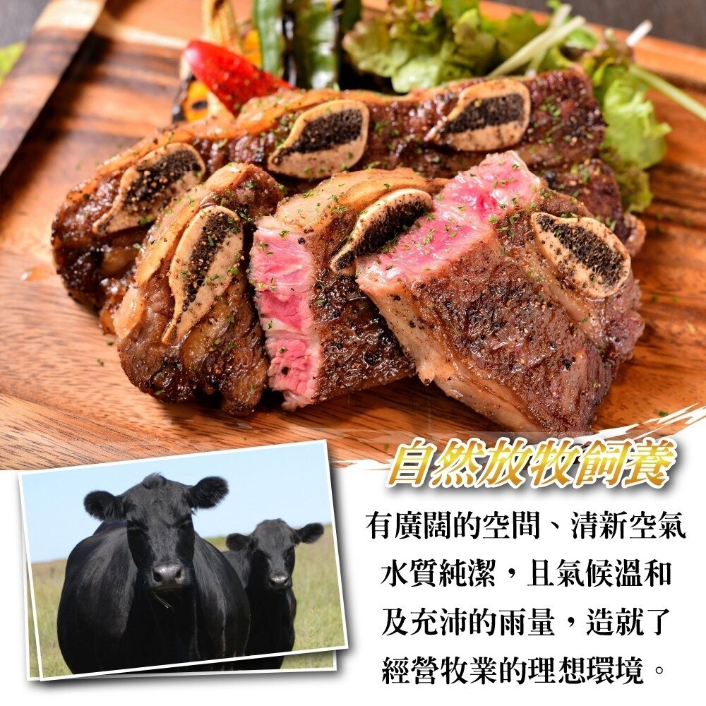 和品玫瑰牛-美國原切帶骨牛小排(每包500g±10%)【海陸管家】滿額免運-細節圖4